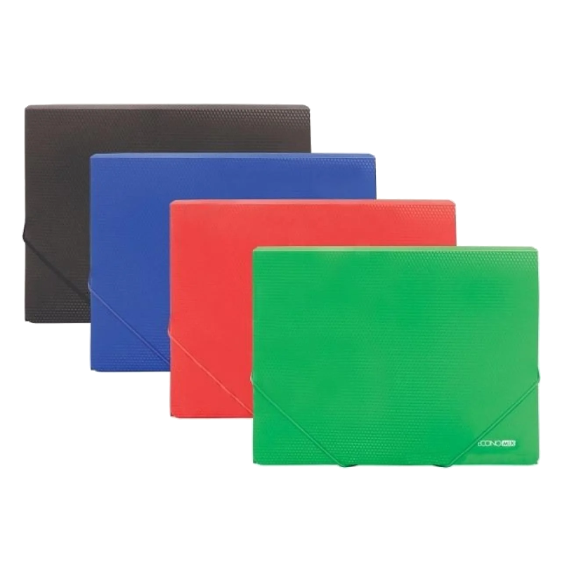 Папка на гумках ECONOMIX (E31602-99)